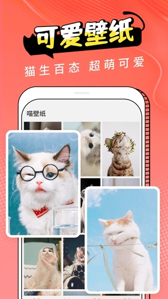猫翻译图片1