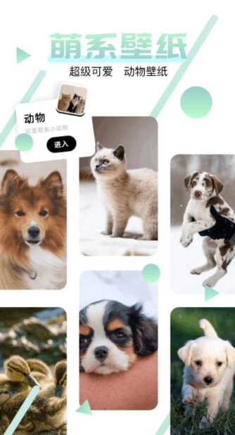 神图订制最新手机版下载图片1