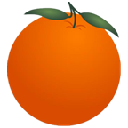 金桔社交浏览器安卓版1.0.0 安卓最新版