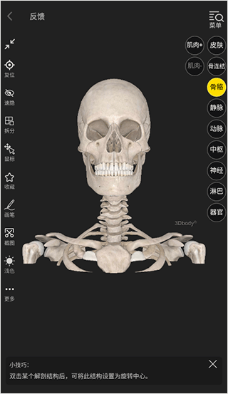 3d body解剖中文版