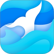 华采大宗官方版