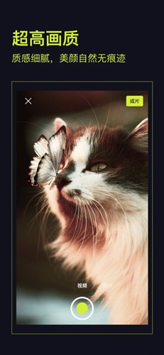 action׿v3.12.3