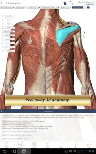 解剖和生理学软件截图1