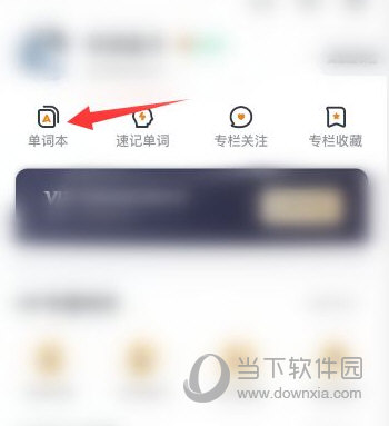 有道词典