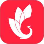 巅峰减重 V3.5.1