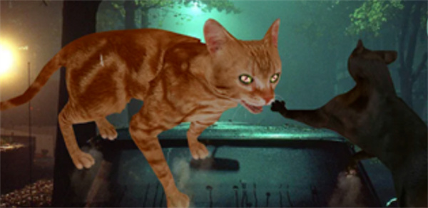 猫咪格斗战争模拟器