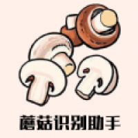 蘑菇识别助手图标