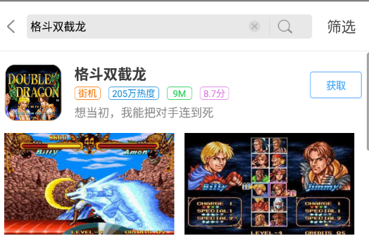 格斗双截龙截图