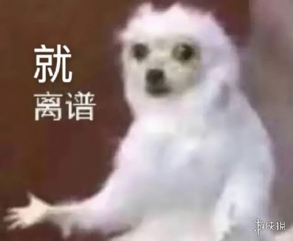 游侠网20