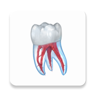 牙科3D图解学习软件免费版(Dental Illustrations)v2.0.94 安卓订阅版