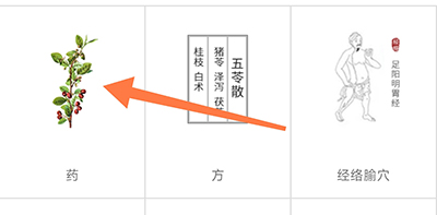 扁鹊中医