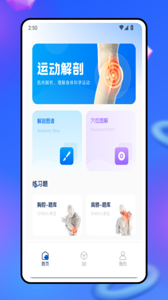 3d人体模型