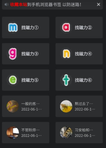 磁力王搜索引擎