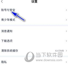 爱奇艺极速版
