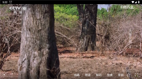 悠悠电视TV版图片1