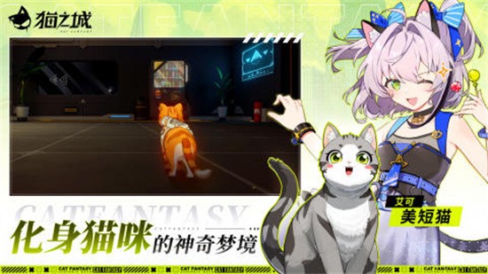 猫之城9