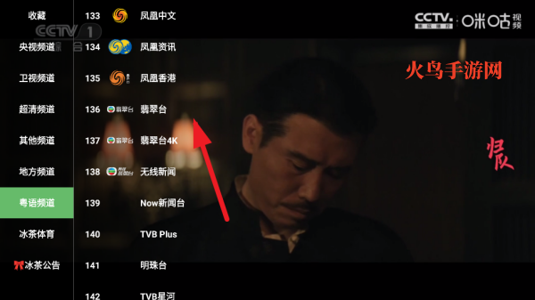 雨露FM电视软件