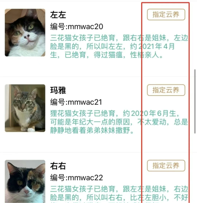 握爪12