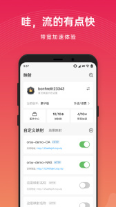 花生壳