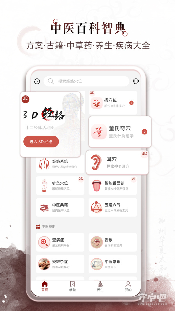 中医经络穴位