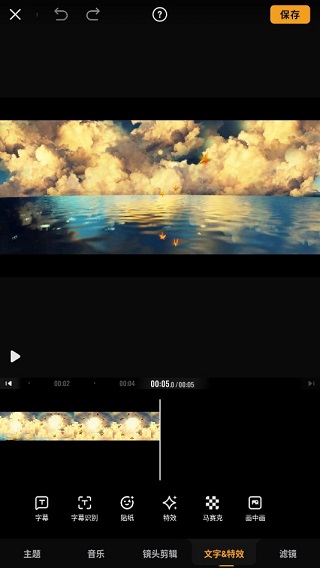 Viva Video7
