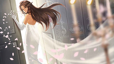 姬魔恋战纪小米版