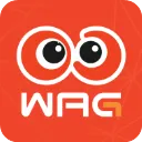 看个比赛app 2.4.4安卓版