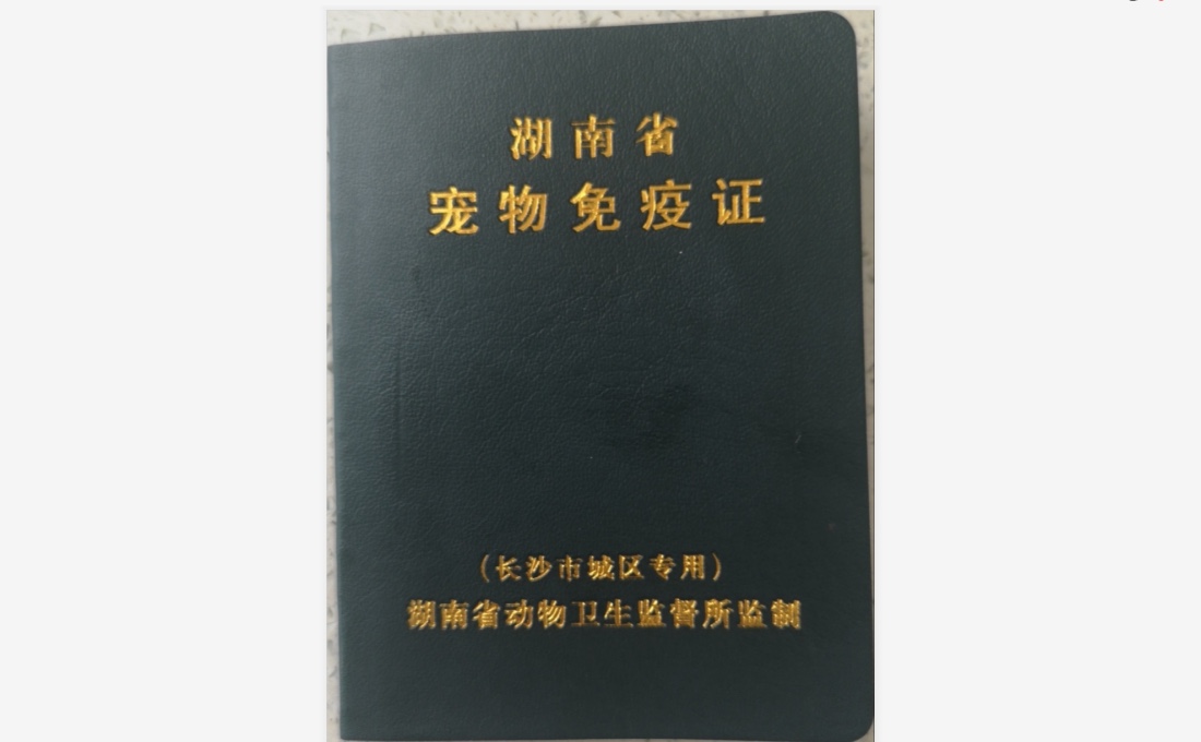 68宠物app