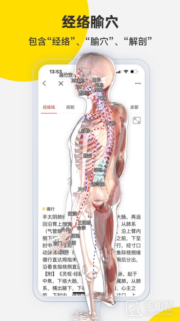 3DBody解剖 v8.8.44