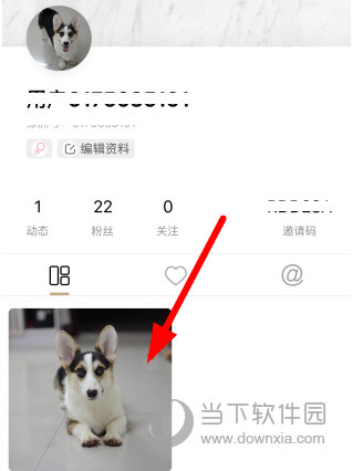 微博绿洲
