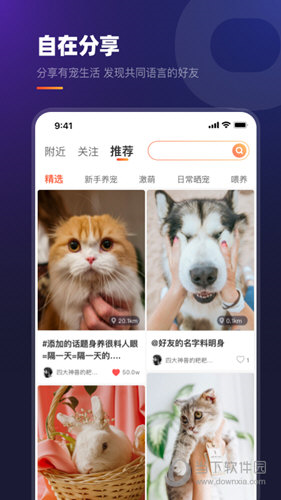 趣爪印