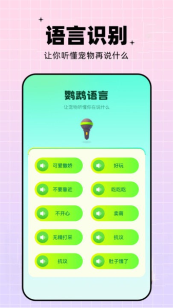 鹦鹉交流器图片