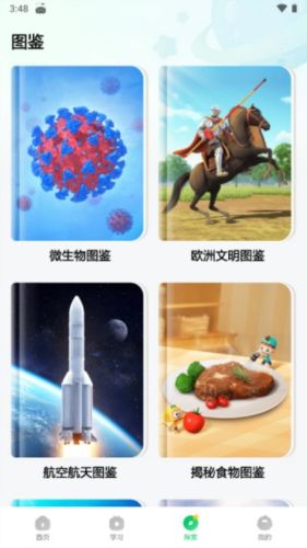 斑马百科