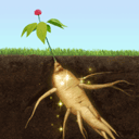 夺笋高手官方正版下载 v1.5.8
