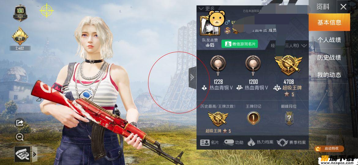 预览图1