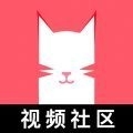 猫咪app视频官方正版v1.1.6