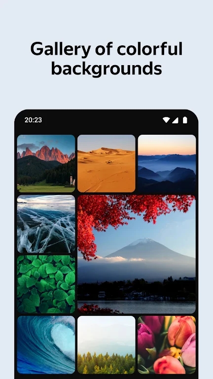 ˹Yandexֻƶappװv25.2.7.95