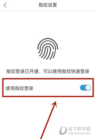 津心登