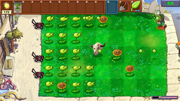 PVZָ