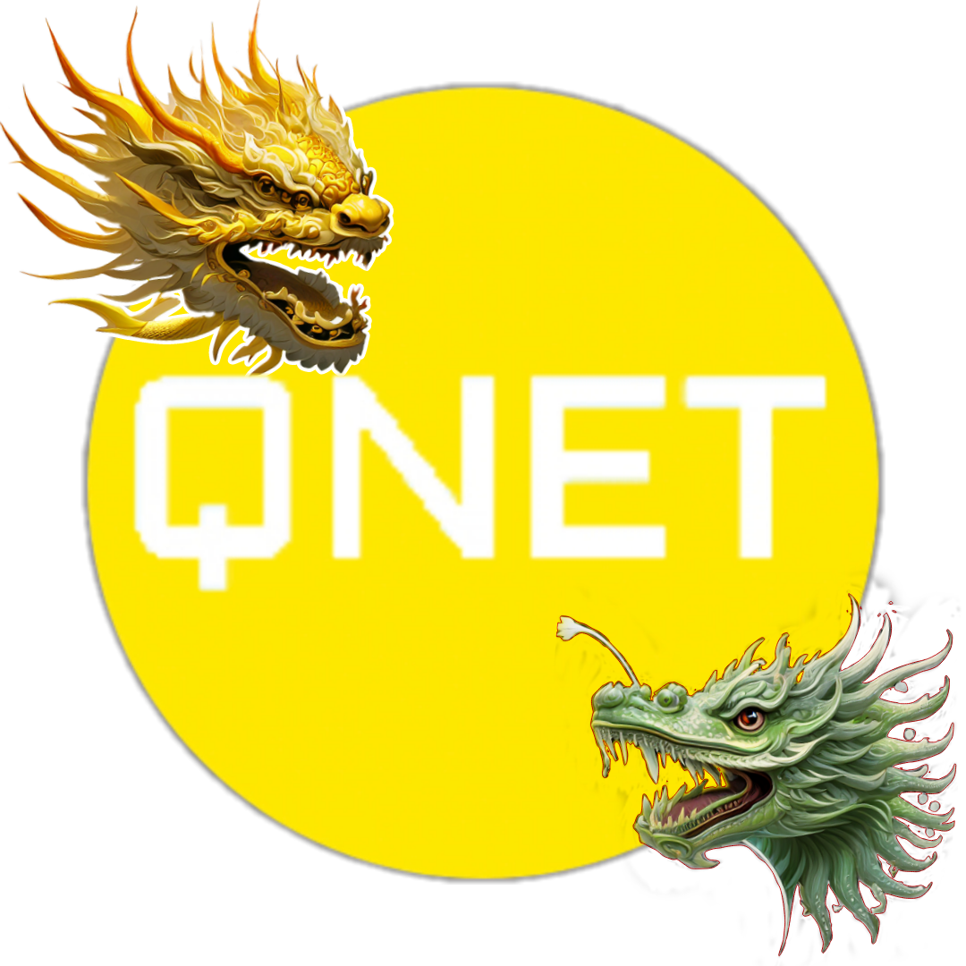 金龙qnet弱网参数下载v0.4.5 安卓版