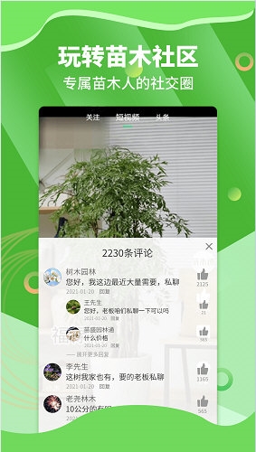 苗木通