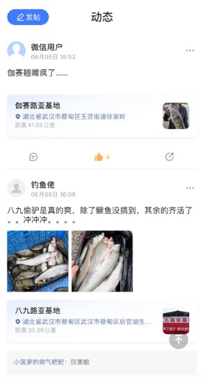 路了个鱼1