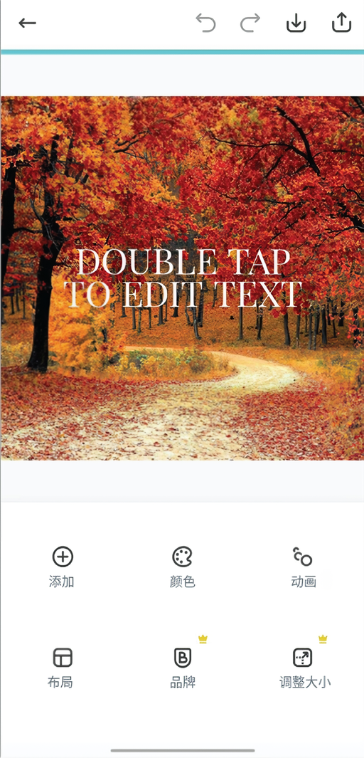 创建设计和拼贴截图4