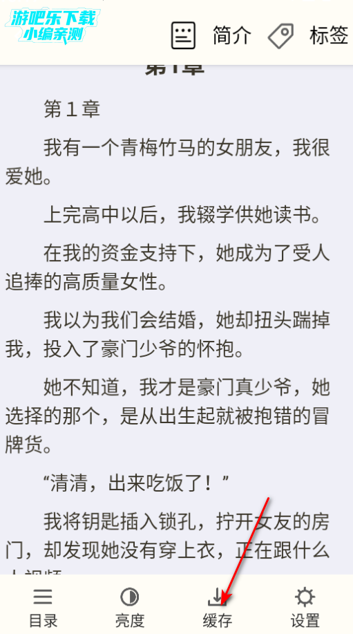 轻文阁手机版