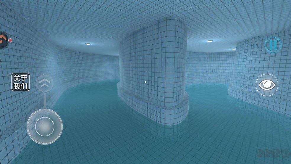 池核后室(POOLS)