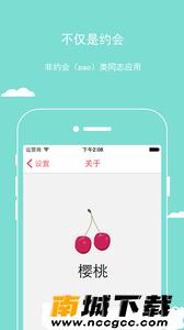 预览图2