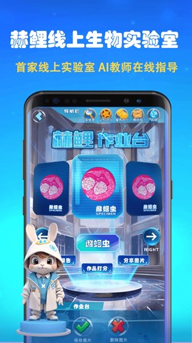 Ԫappv2.1.33