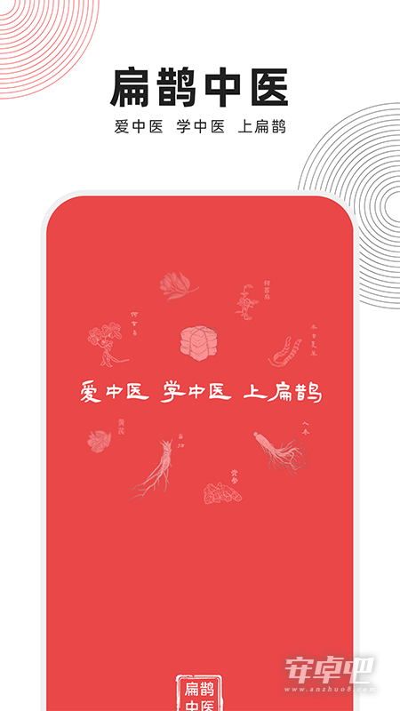 扁鹊中医最新版截图1