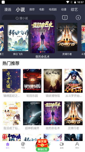 黑猪视频旧版