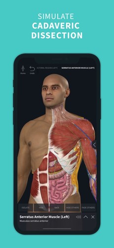 completeanatomy中文版 v9.5.0